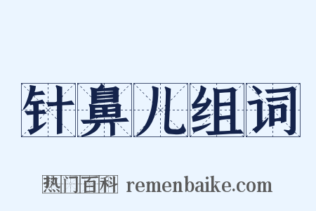 针鼻儿组词是什么意思的图片